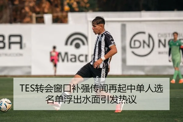 TES转会窗口补强传闻再起中单人选名单浮出水面引发热议